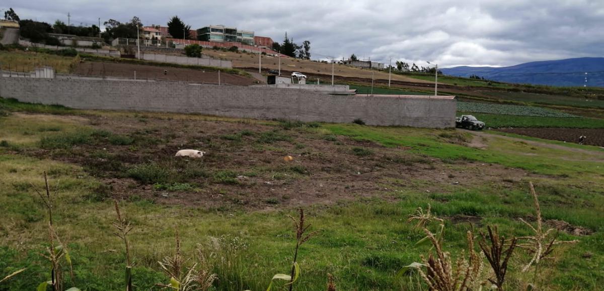 Lote en Venta en Samanga. Tungurahua — imagen 5