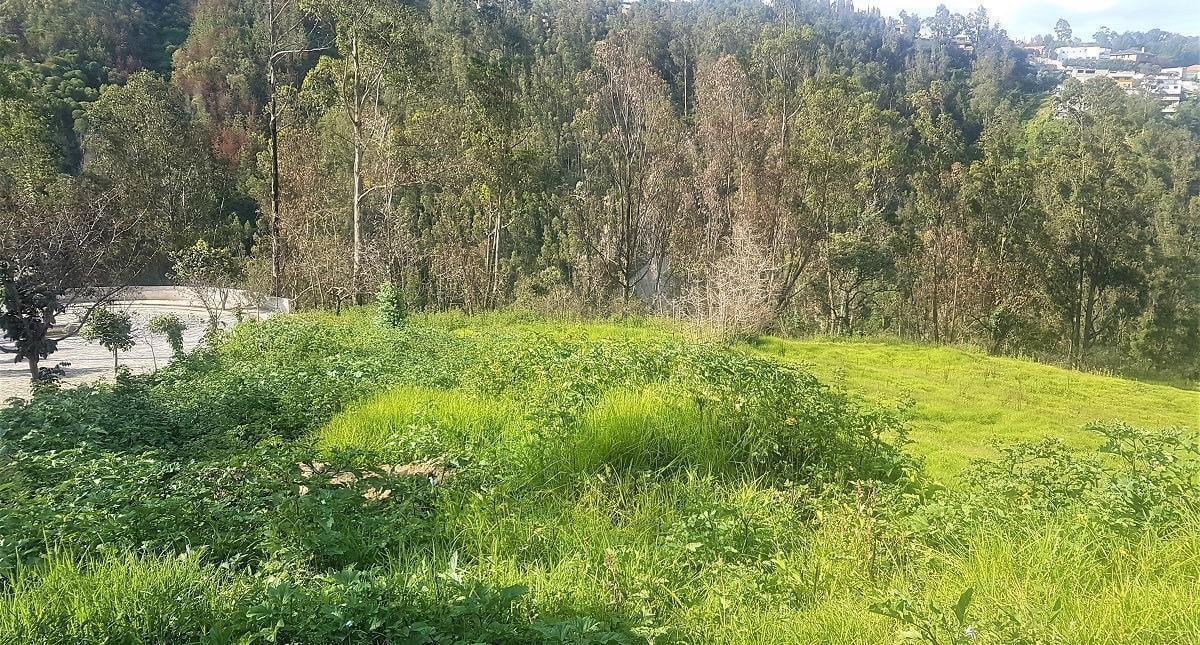 Lote en Venta en Samanga. Tungurahua — imagen 3