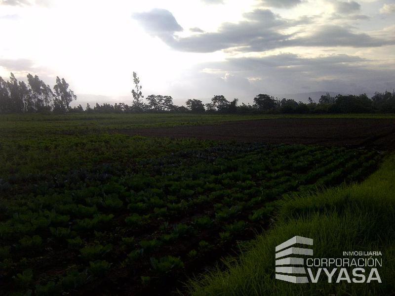 Tababela, Terreno de Venta Junto Al Nuevo Aeropuerto Mariscal Sucre — imagen 4