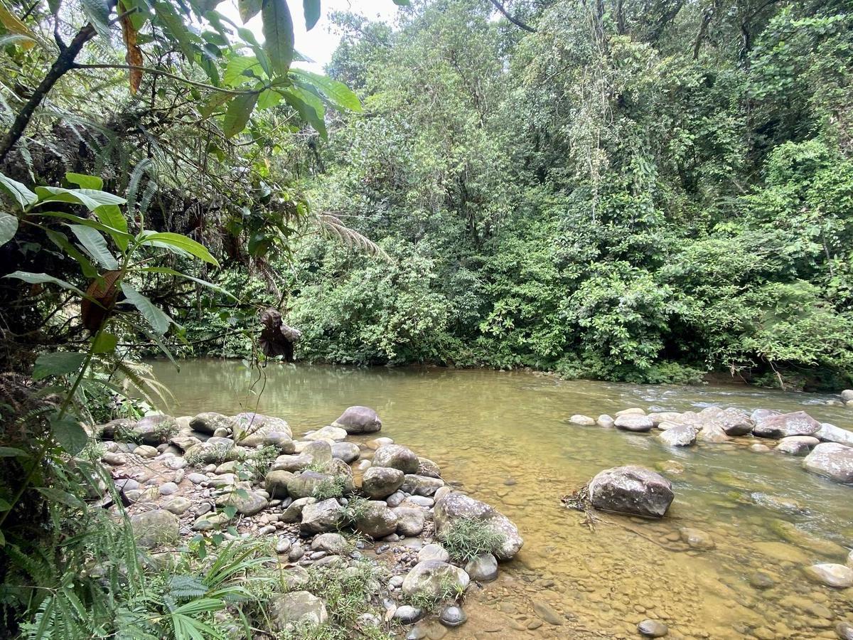 Vendo Lotización en Indillama (El Puyo), Pastaza — imagen 5