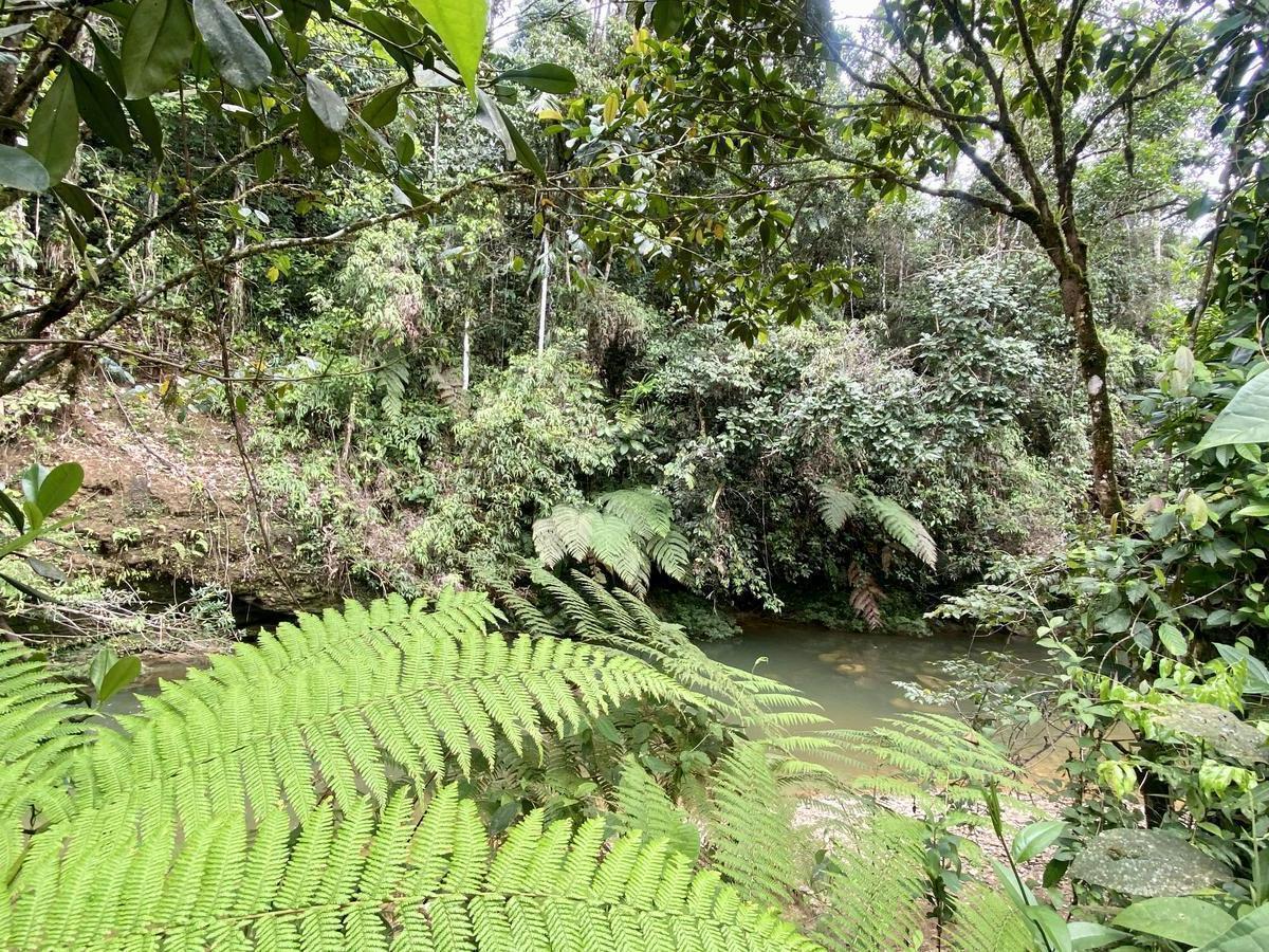 Vendo Lotización en Indillama (El Puyo), Pastaza — imagen 3