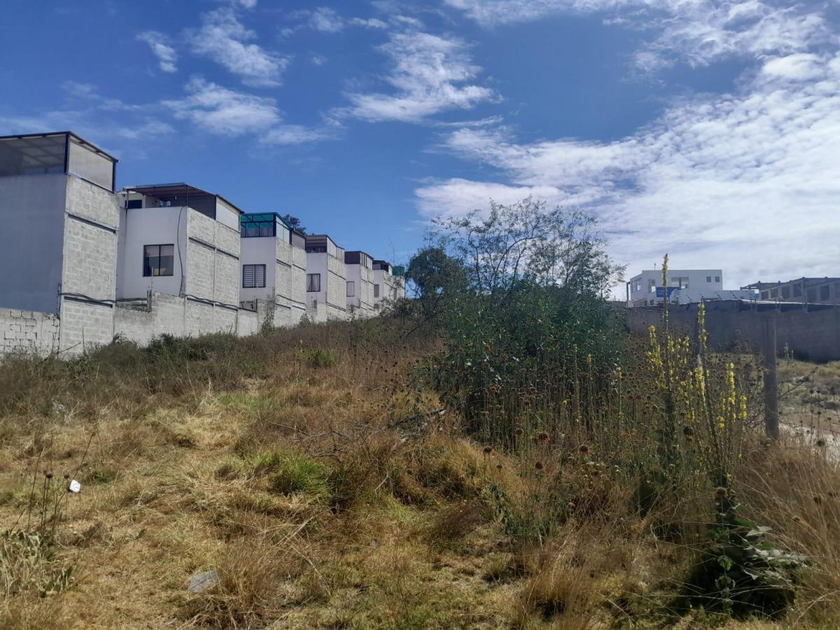 Venta Terreno Calderón – San José de Morán | 3.540 m² | Desarrollo Inmobiliario — imagen 5