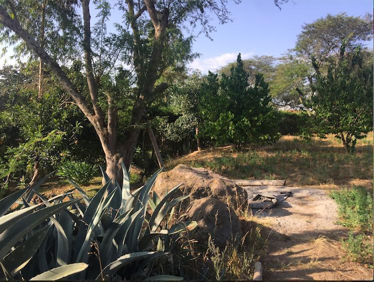 Tumbaco Terreno de Venta Sector Collaqui Hermosa Vista — imagen 4