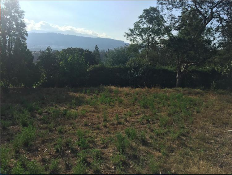 Tumbaco Terreno de Venta Sector Collaqui Hermosa Vista — imagen 3
