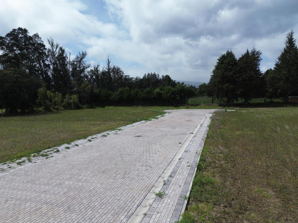 Lotes de 1000 m² de Venta en Puembo Sector Colegio Einstein — imagen 4