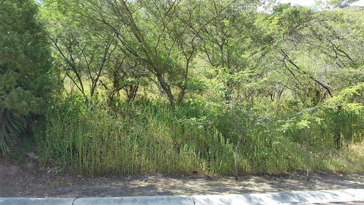 Tumbaco. Hermoso Terreno en La Viña — imagen 5