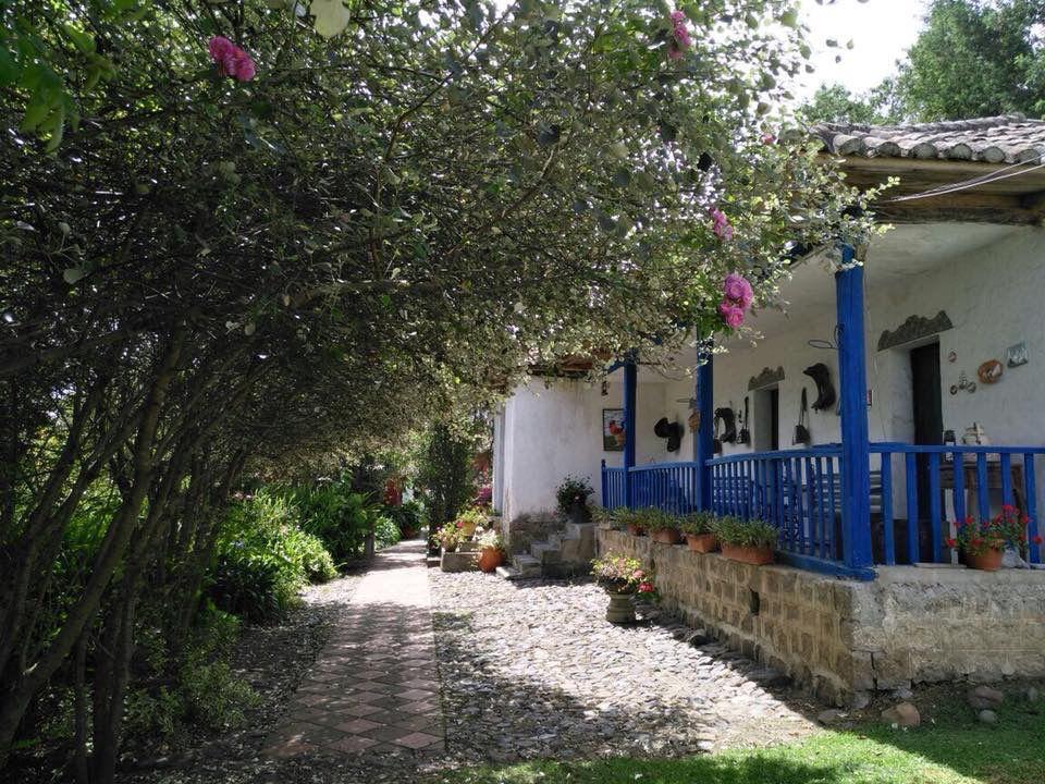 Mv - Pifo en Venta Casa Quinta Ideal Para Eventos, con Lote de Terreno de 9.107 m² — imagen 5