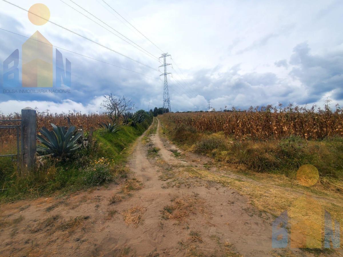 Terreno de Una Hectárea en Venta Sector Malchinguí — imagen 5