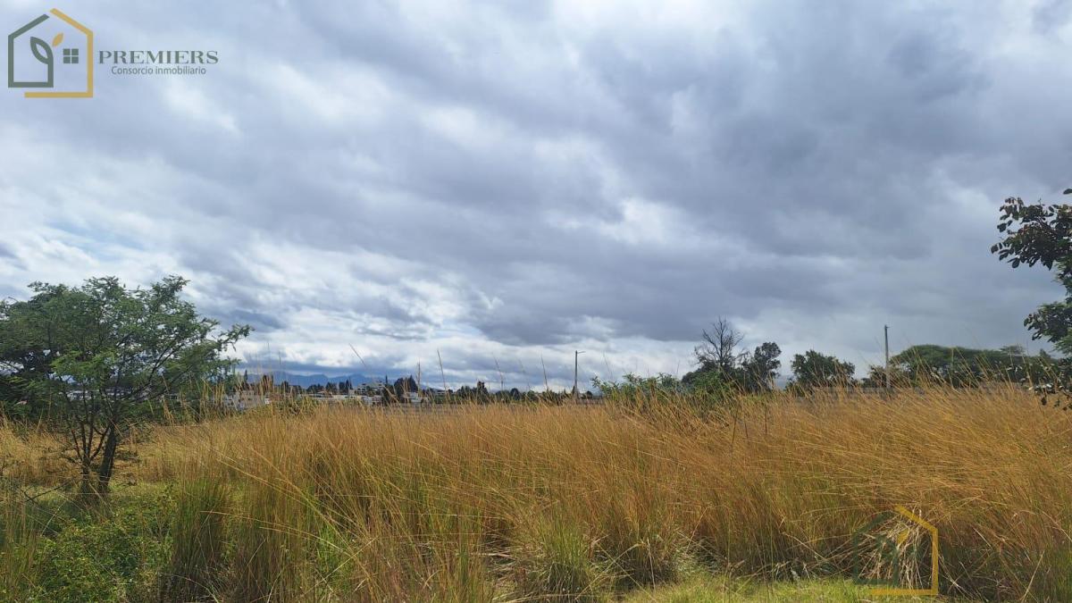 Venta Terreno en La Ruta Viva — imagen 5