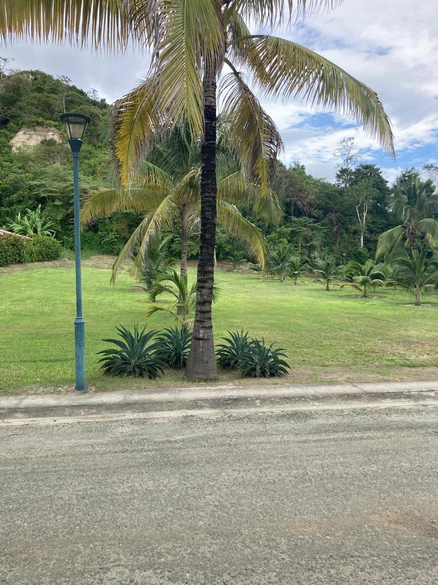 Terreno Frente Al Mar de Venta en Jama Manabi, Manabí — imagen 5