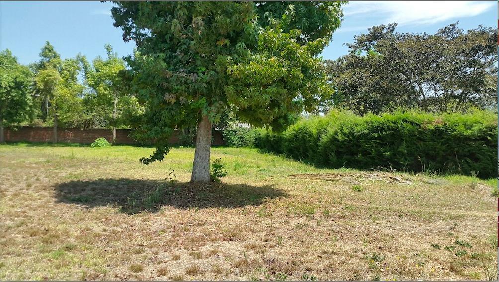 Puembo. Terreno de Venta en Conjunto — imagen 5