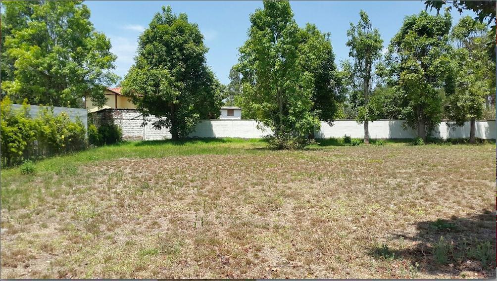 Puembo. Terreno de Venta en Conjunto — imagen 3