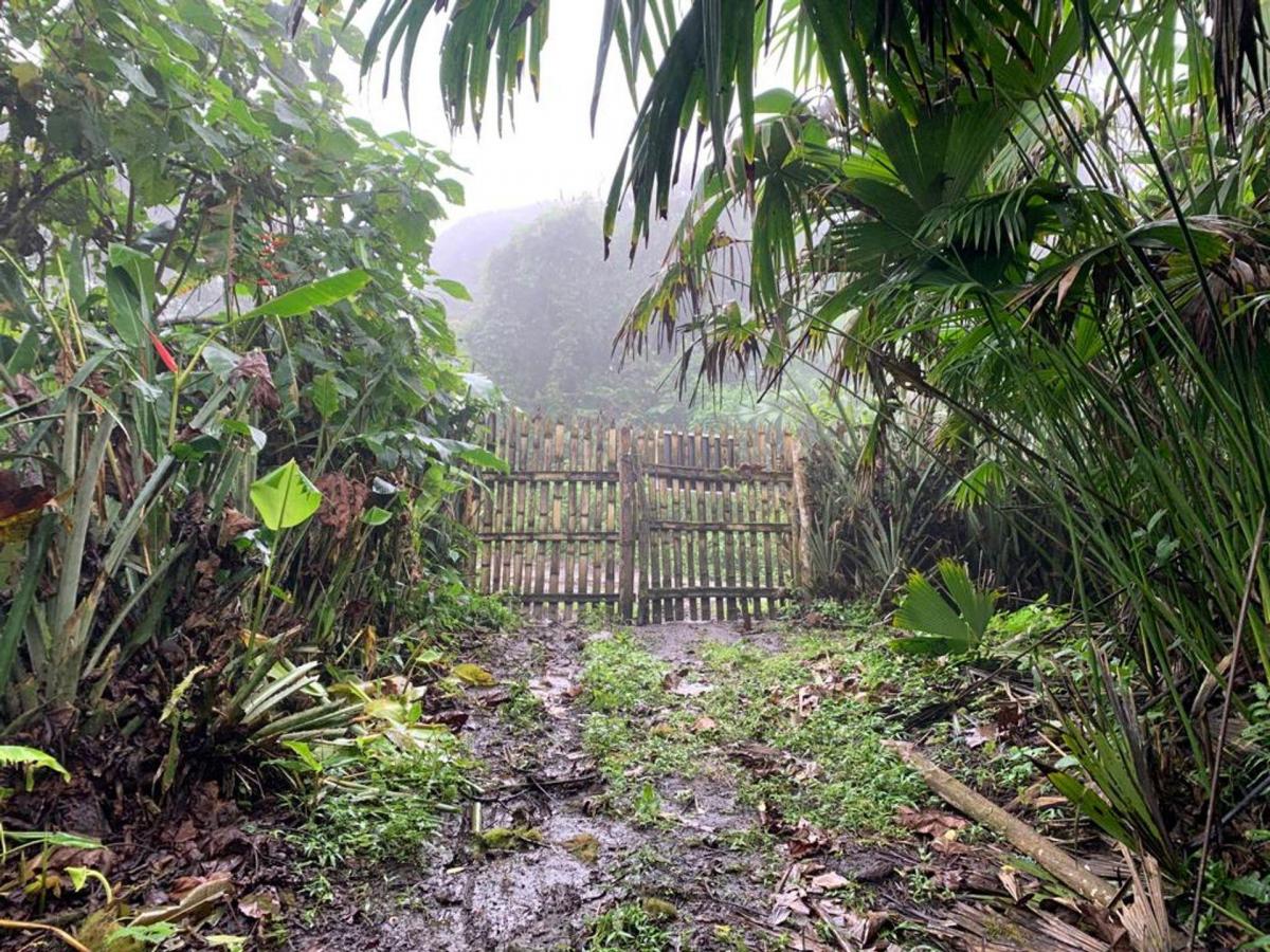 Finca de Venta en Bosque Pacoche Manta Manabí Bl, Manabí — imagen 5