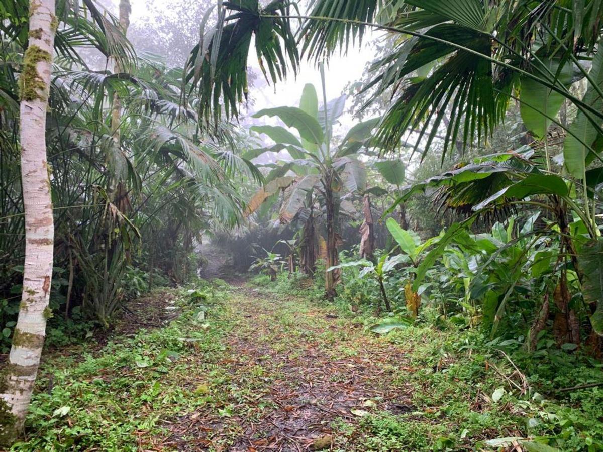 Finca de Venta en Bosque Pacoche Manta Manabí Bl, Manabí — imagen 4