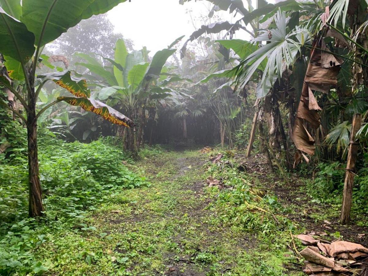 Finca de Venta en Bosque Pacoche Manta Manabí Bl, Manabí — imagen 3