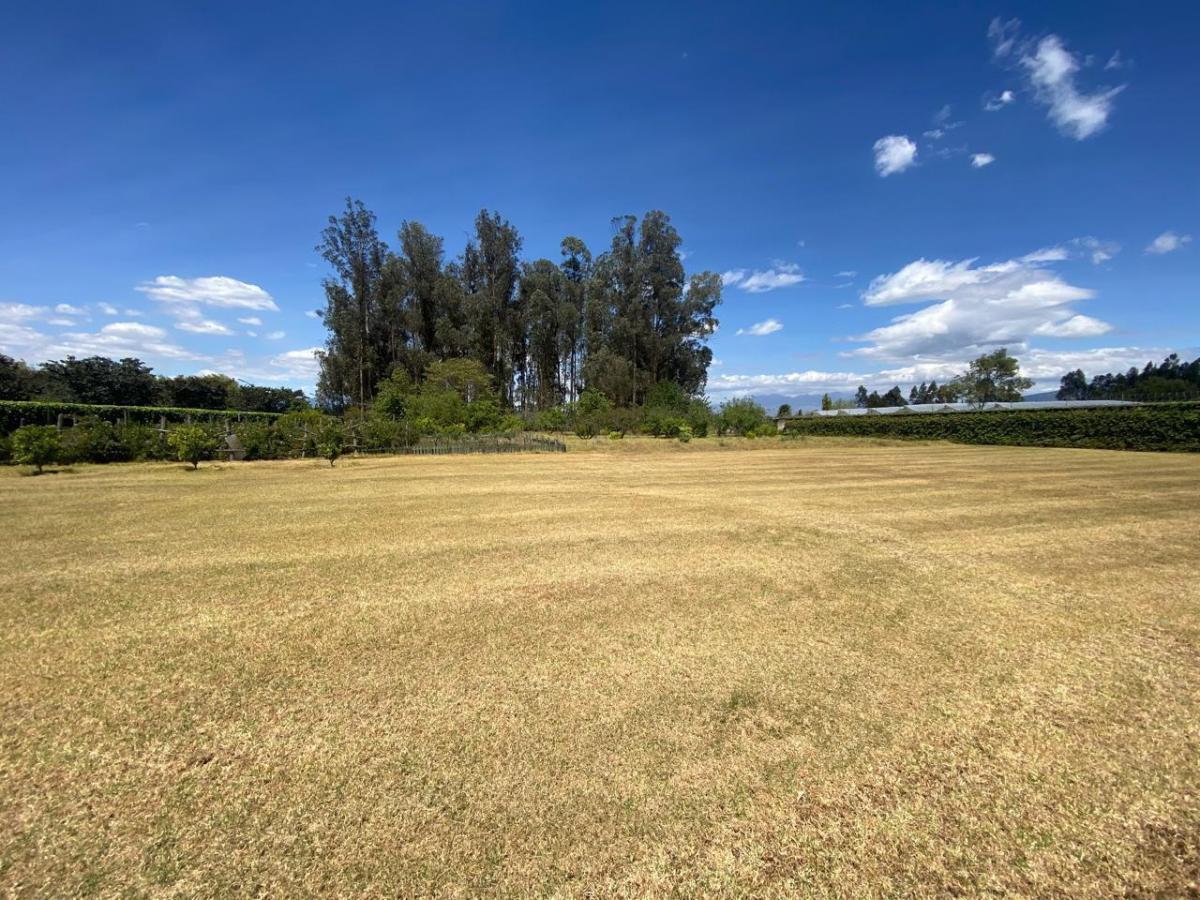 Venta Terreno en Puembo — imagen 5