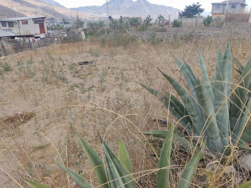 Terreno Plano en Venta Bella Maria Pomasqui — imagen 5