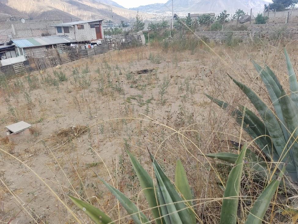 Terreno Plano en Venta Bella Maria Pomasqui — imagen 4