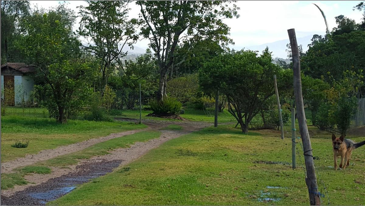 Tumbaco. Hermosa Urb. Privada. Ultimos Lotes de Venta. Linda Vista. Seguridad 24 H. Provincia de Pichincha — imagen 3
