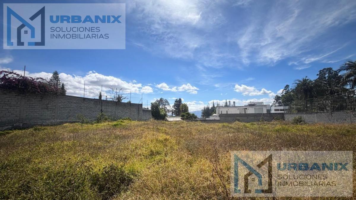 Terreno en Monteserrín — imagen 4
