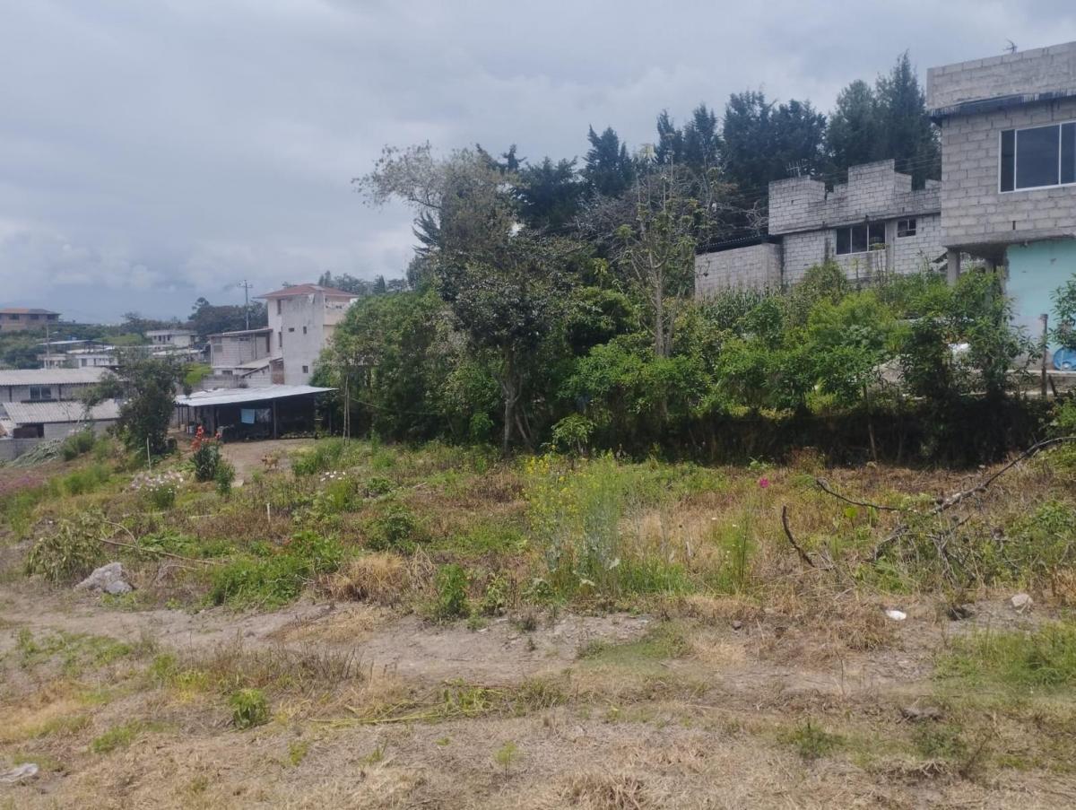 Terreno, Alangasi Av Ilalo y Av Gaspar de Villarroel 2920 m² — imagen 5
