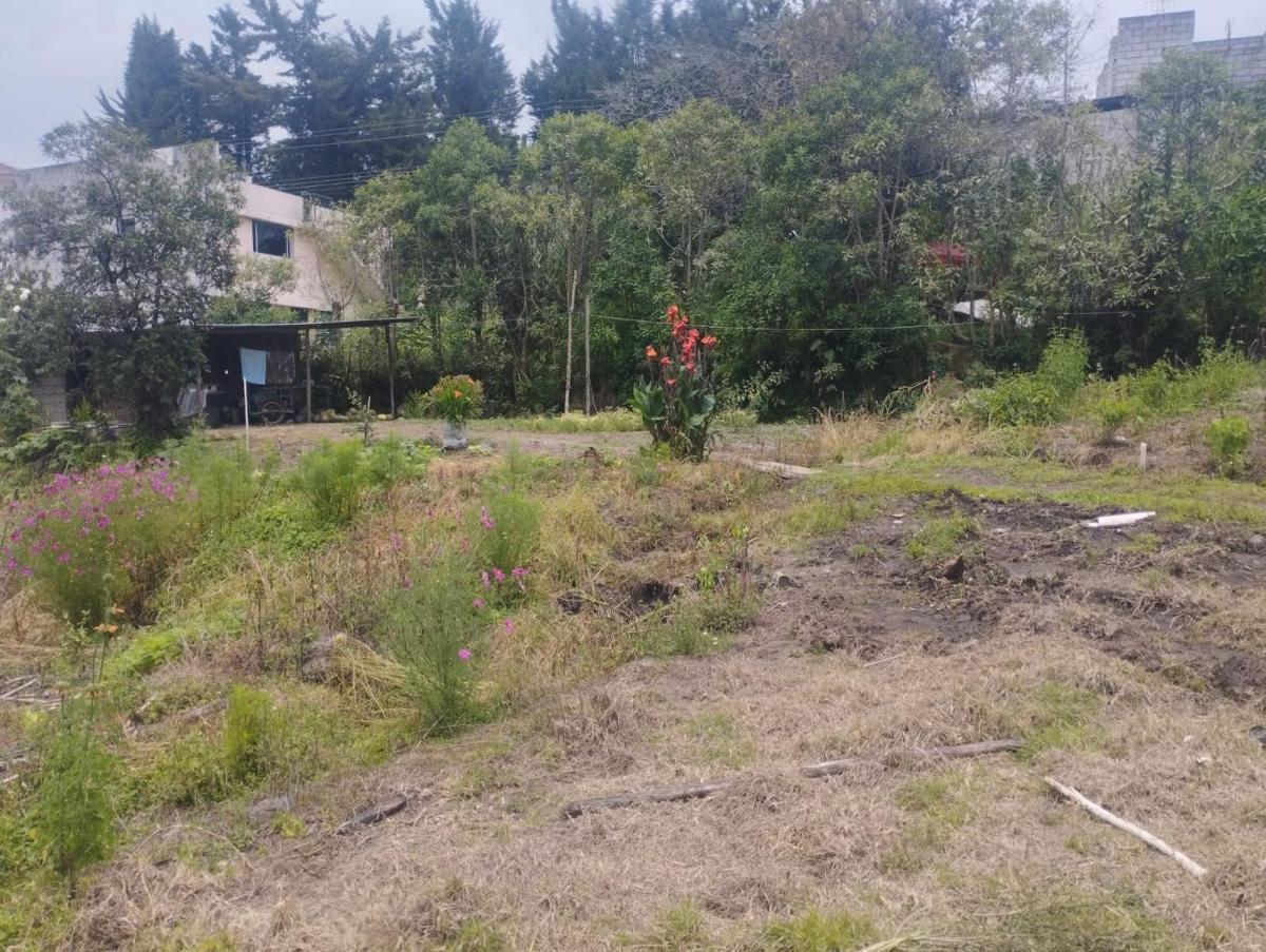 Terreno, Alangasi Av Ilalo y Av Gaspar de Villarroel 2920 m² — imagen 3
