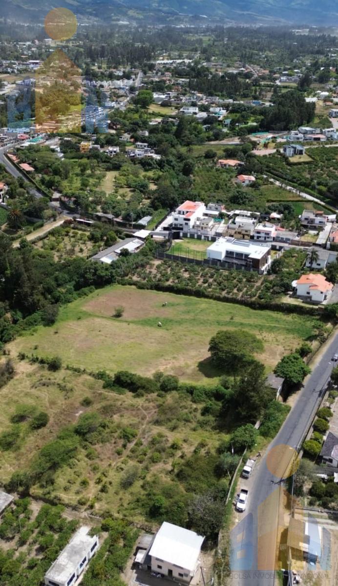 Vendo Terreno 7000 m² 50% 100% Cos Puembo Sector Mangahuantag — imagen 5