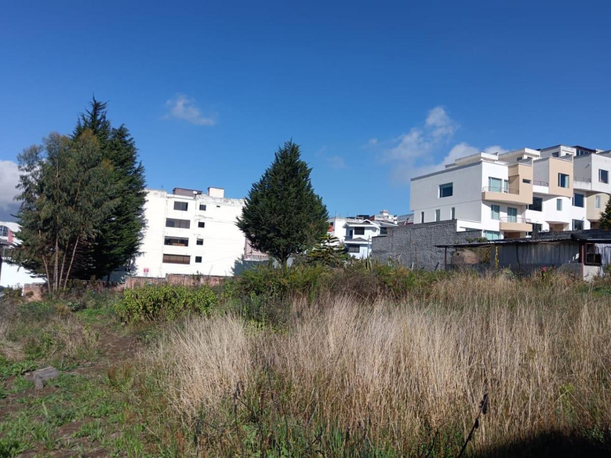 Terreno en Venta — imagen 5