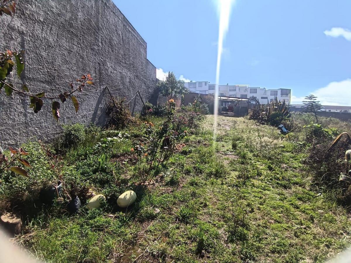 Terreno en Venta — imagen 4