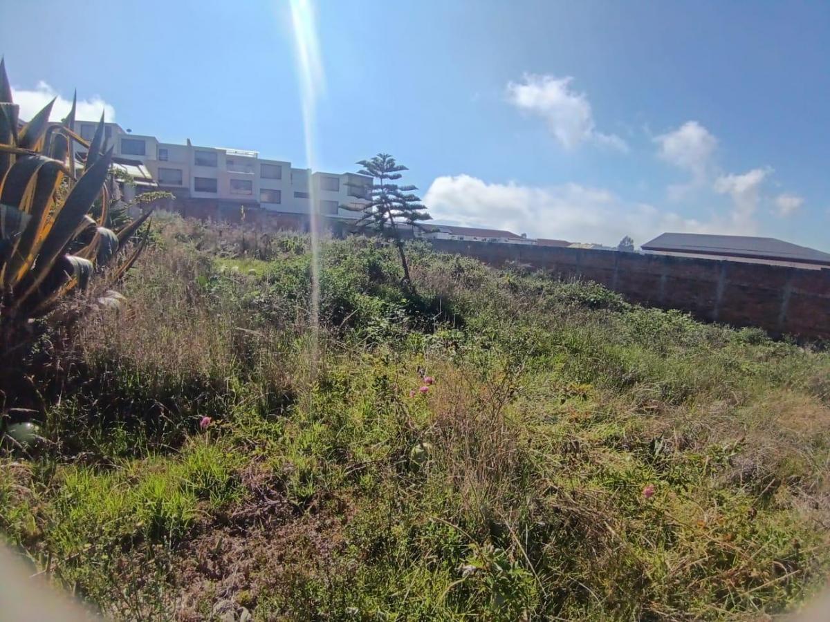 Terreno en Venta — imagen 3