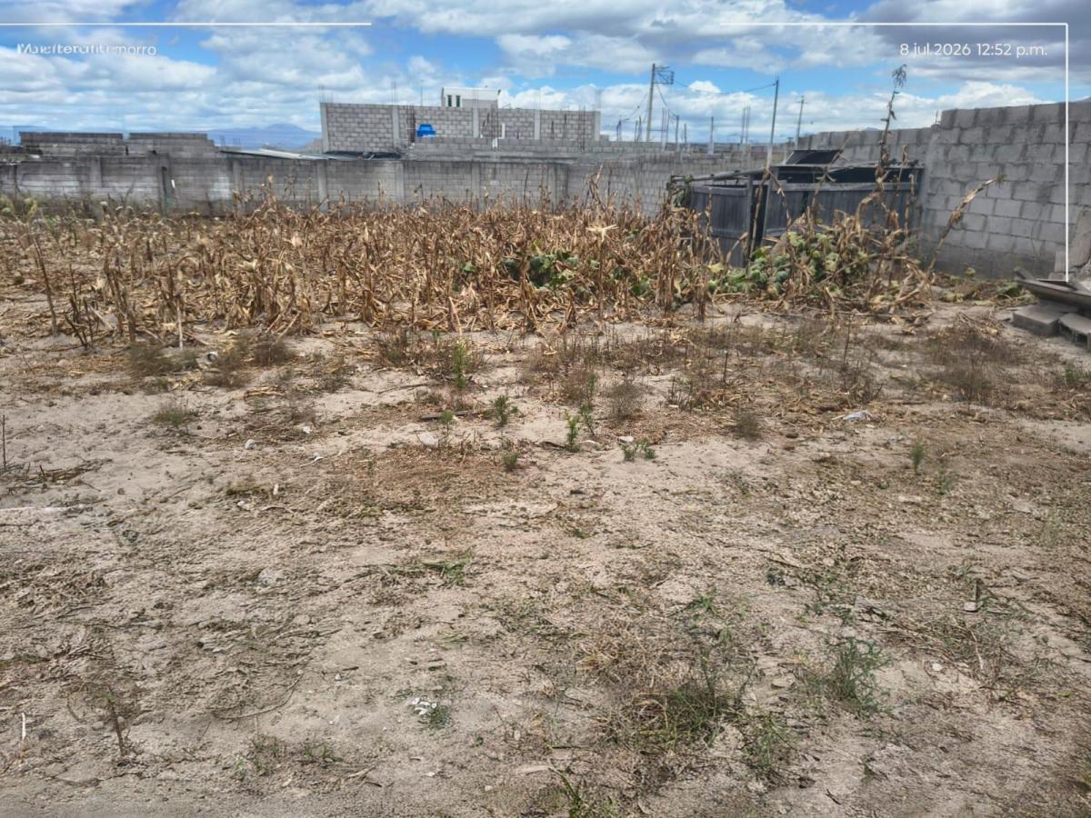Terreno en Calderon de 445 m — imagen 4