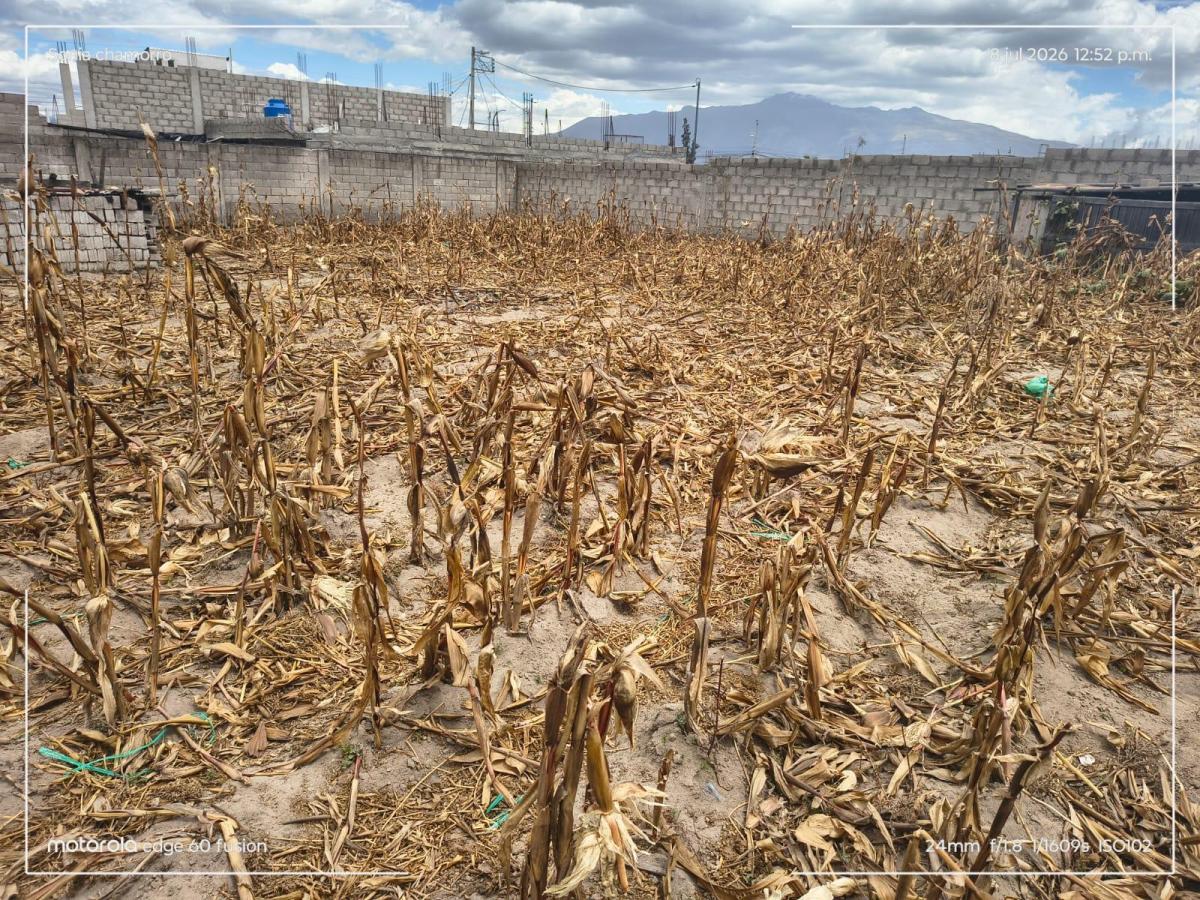 Terreno en Calderon de 445 m — imagen 3