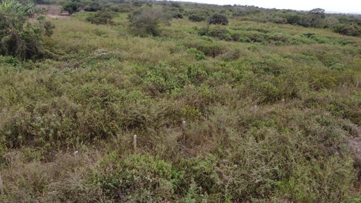 Terreno de Venta en Manta Zona Sur El Aromo, Manabí — imagen 3