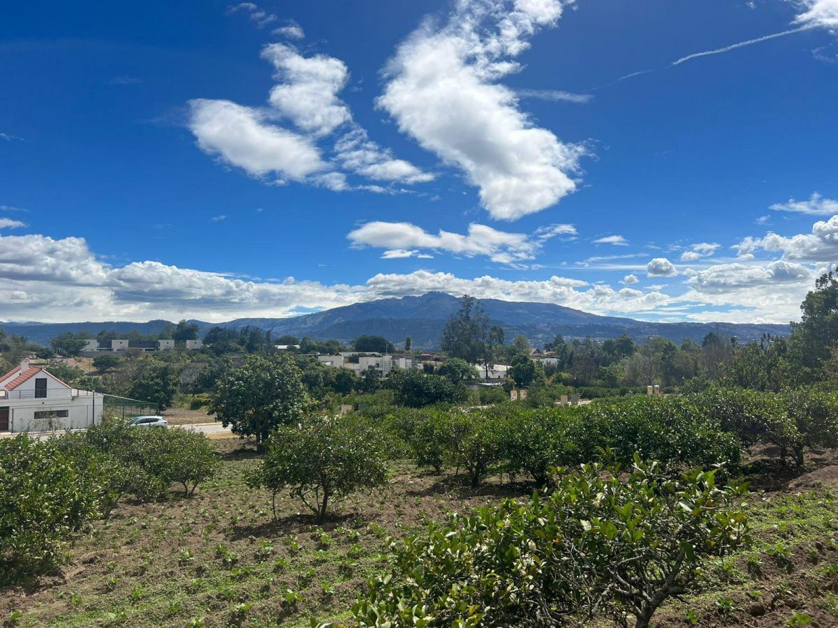 Mv - Puembo, Urbanización Privada, en Venta Terreno Independiente Bifamiliar 995.82 m² — imagen 4