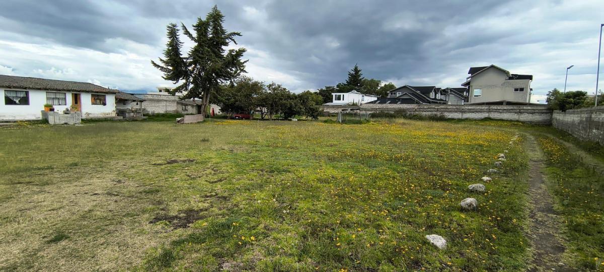 Terreno de 3.420 m en Mariana de Jesus — imagen 5