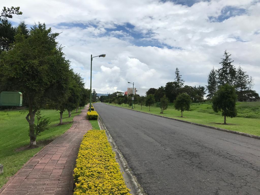 Venta Oportunidad Terreno Club Privado Arrayanes, Puembo 1100 m² — imagen 3
