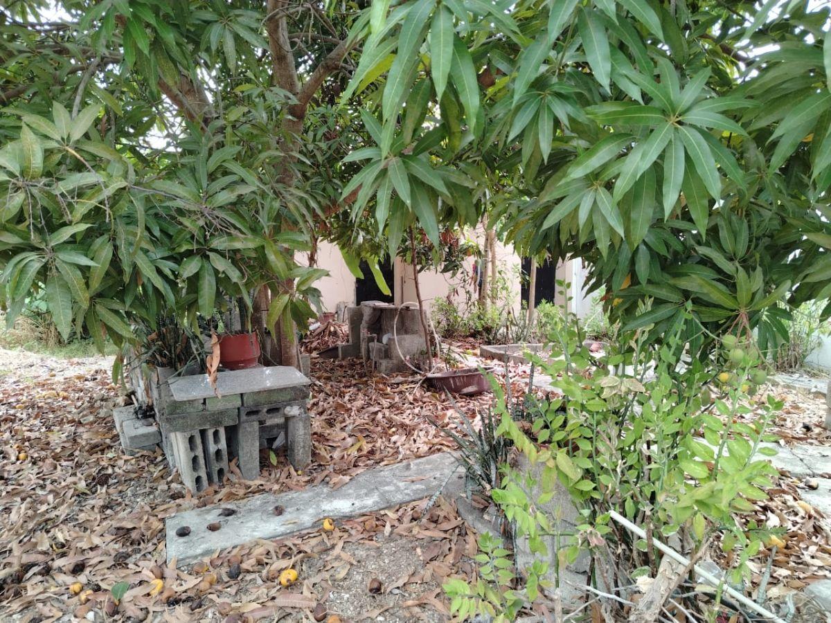 Terreno de Venta Vía a La Costa Chongon, Guayas — imagen 10