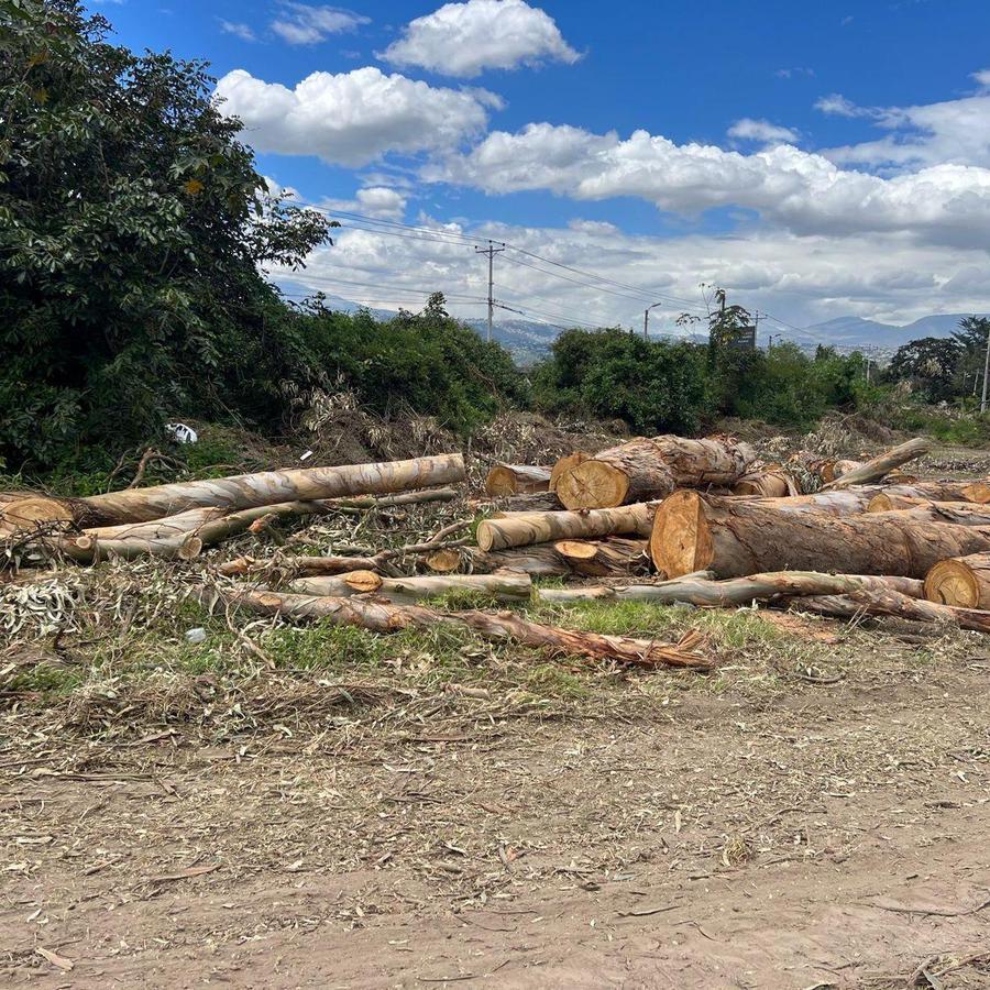 Puembo Lotes de Venta Lotizados Sector Club Arrayanes — imagen 5