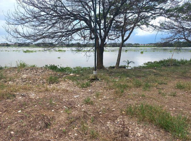 Venta de Terrenos a Pocos m del Río Daule, Portón del Rio (Vicrieel), Guayas — imagen 5