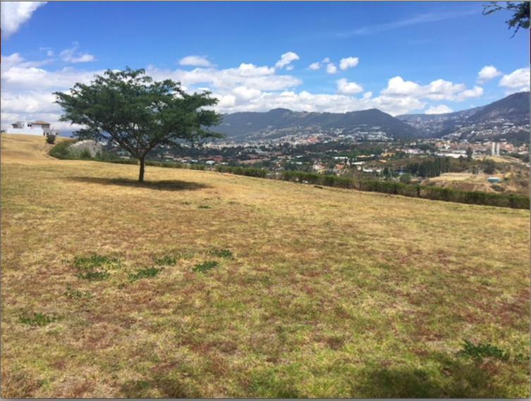 Cumbaya Lote de Venta en Urbanizacion Privada Hermosa Vista Sector Colegio Menor — imagen 7