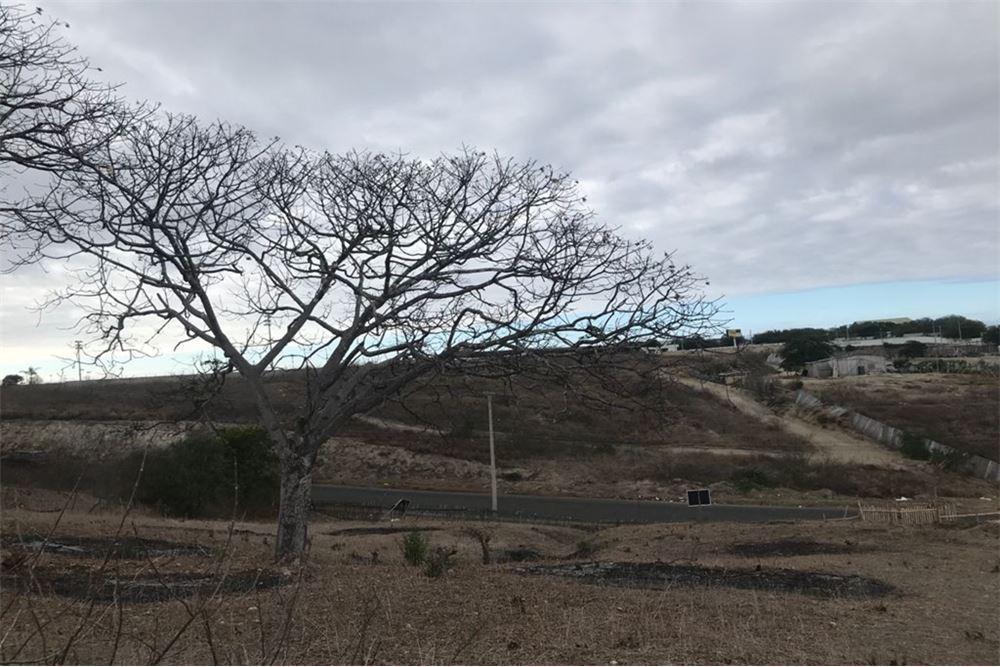 Terreno de Venta en Manta Zona Sur Manabí Bl, Manabí — imagen 5