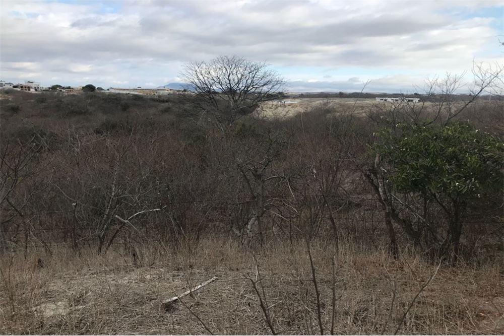 Terreno de Venta en Manta Zona Sur Manabí Bl, Manabí — imagen 3