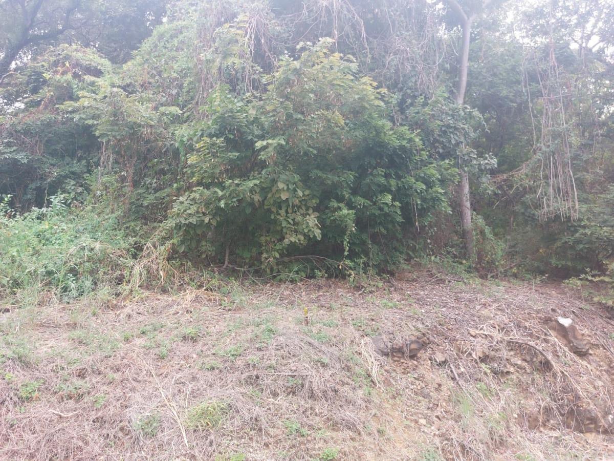 Terreno de Venta en La Urbanización Lago de Capeira, 1295 m². Guayas — imagen 5