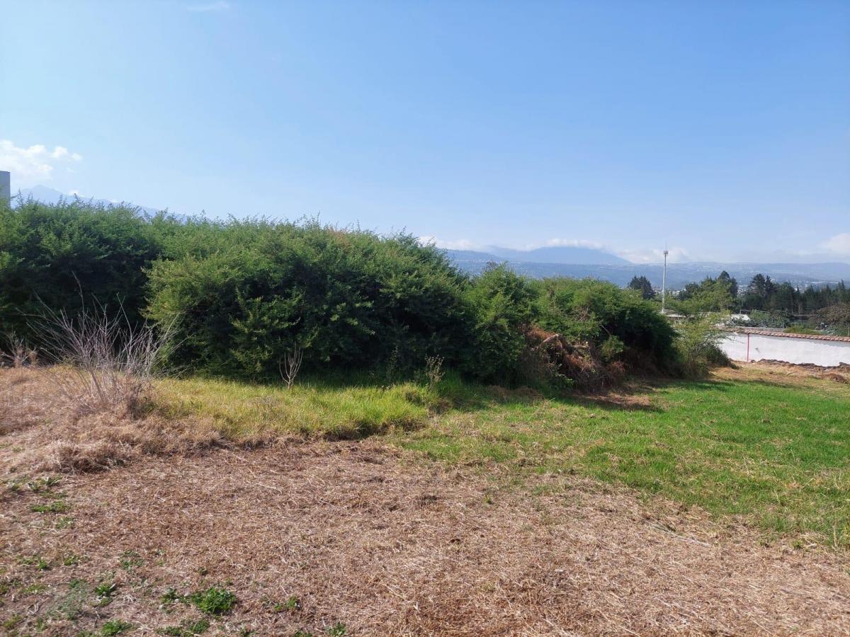 Terreno de 1052 m² en Venta, Tumbaco con Vista Al Parque — imagen 4