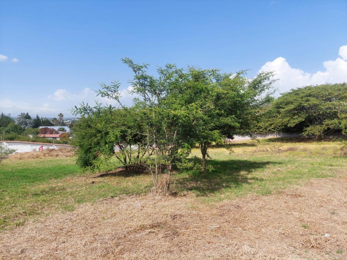 Terreno de 1052 m² en Venta, Tumbaco con Vista Al Parque — imagen 3
