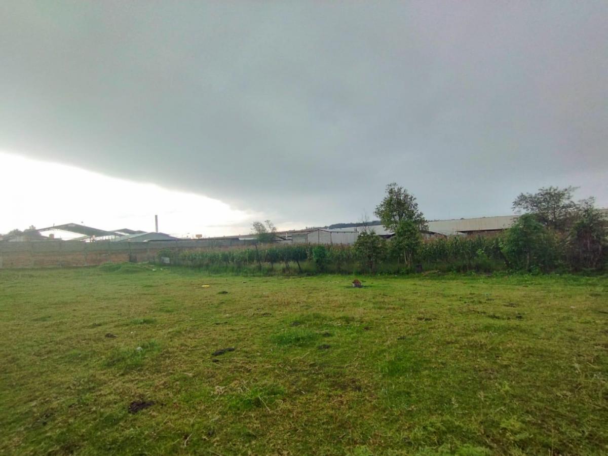 Terreno, Departamentos y Casas en Venta — imagen 4