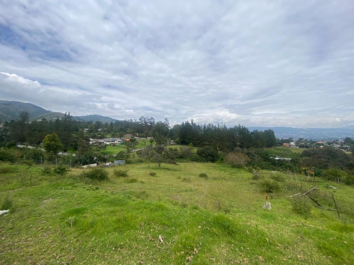Terreno de Venta en Quito, Tumbaco, Barrio Plazapamba — imagen 4