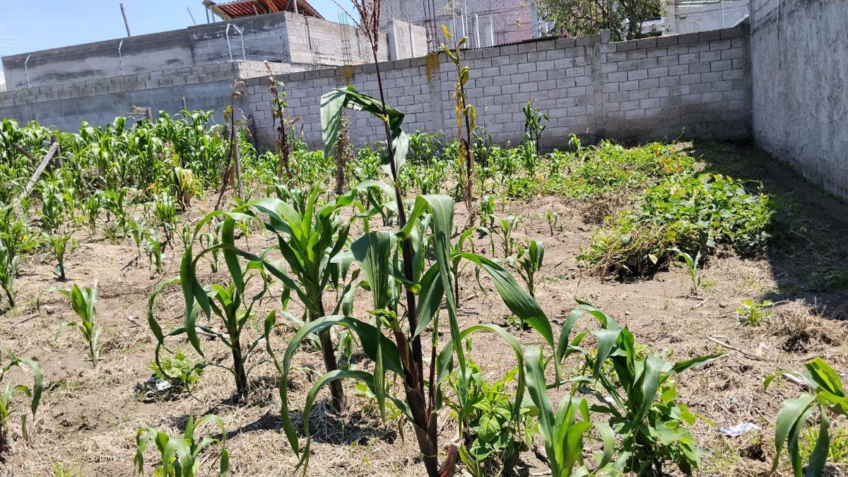Terreno de Venta a 3 Cuadras del Colegio Milenio — imagen 5