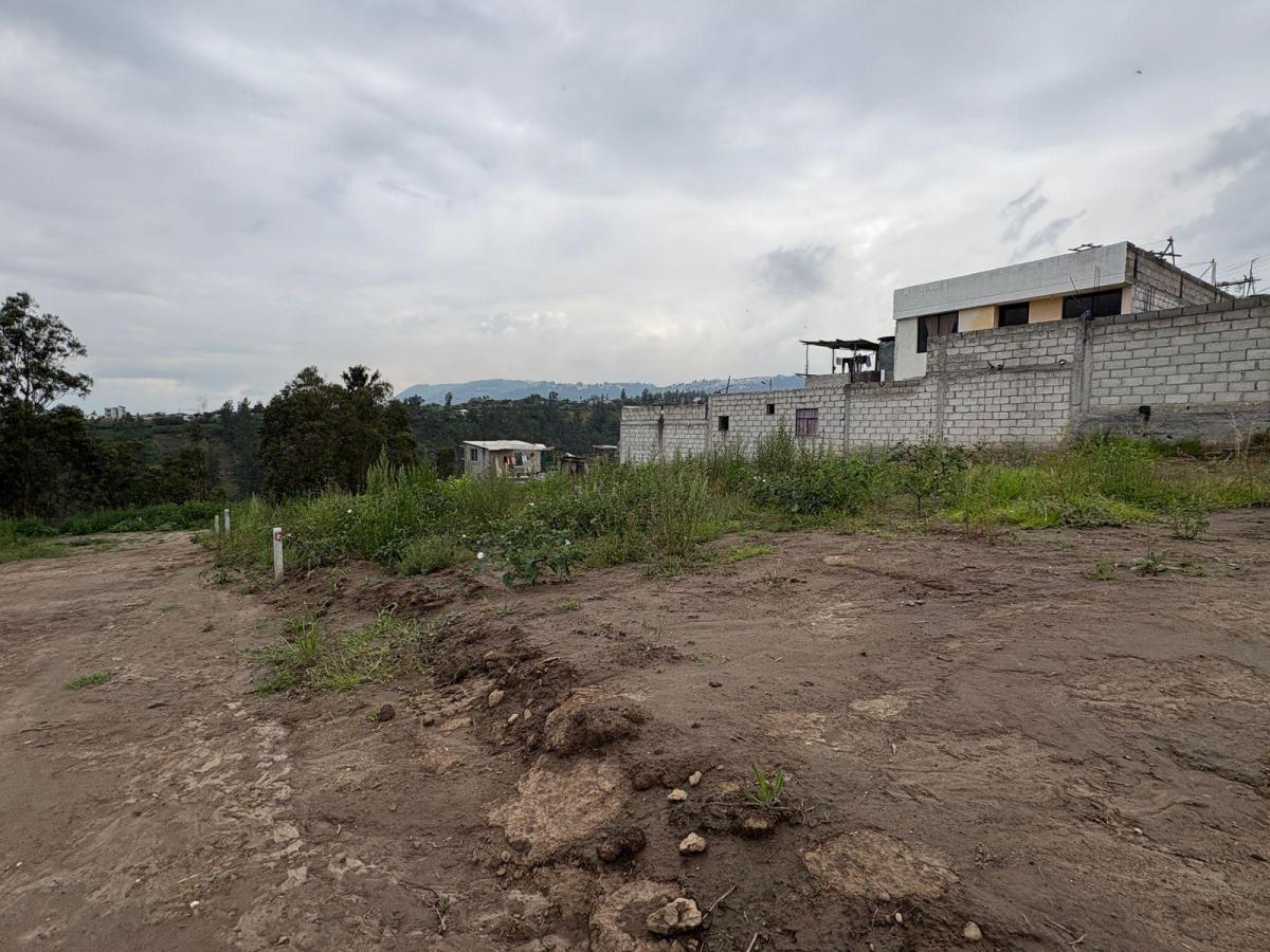 Terreno en Venta Sector Llano Grande, San Juan Loma Alto — imagen 3