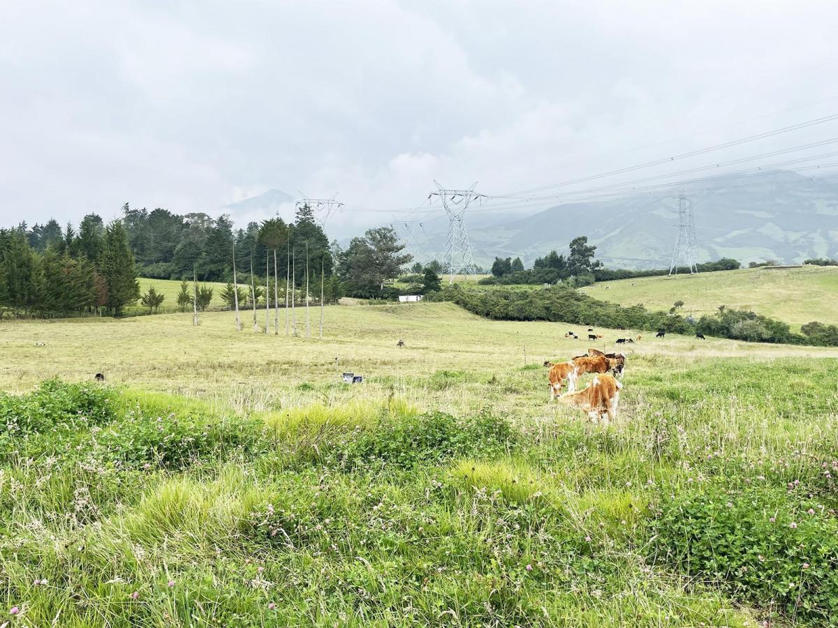 Vendo Terreno Agrícola en El Inga - Pifo — imagen 5